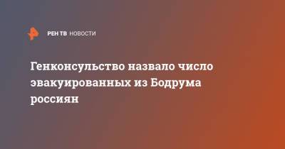 Генконсульство назвало число эвакуированных из Бодрума россиян - ren.tv - Россия - Турция