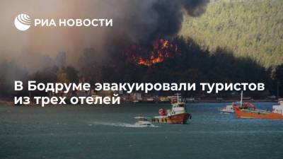 В Бодруме эвакуировали туристов из трех отелей из-за лесных пожаров - ria.ru - Турция - Анкара