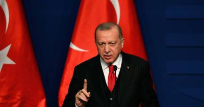 Реджеп Тайип Эрдоган - Реджеп Эрдоган - Эрдоган сообщил о поимке подозреваемого в поджоге лесов в Турции - dsnews.ua - Украина - Турция - Мармарис