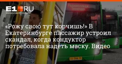 Артем Устюжанин - «Рожу свою тут корчишь!» В Екатеринбурге пассажир устроил скандал, когда кондуктор потребовала надеть маску. Видео - e1.ru - Екатеринбург - Свердловская обл.