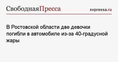 В Ростовской области две девочки погибли в автомобиле из-за 40-градусной жары - svpressa.ru - Россия - Башкирия - Казань - Ростовская обл. - район Каменский