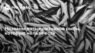 Пользователь Sohu назвал пять признаков рыбы, которую нельзя есть - ria.ru - Москва - Китай