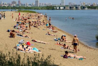 Мошки атакуют новосибирцев на пляжах: в городе пик мелкого гнуса - novos.mk.ru - Новосибирск