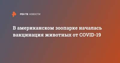 В американском зоопарке началась вакцинация животных от COVID-19 - ren.tv - США