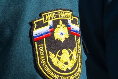 В Тульской области спасатели тушили два пожара за сутки - tula.mk.ru - Тула - Новомосковск - Тульская обл.