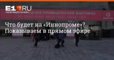 Евгений Куйвашев - Михаил Мишустин - Артем Устюжанин - Что будет на «Иннопроме»? Показываем в прямом эфире - e1.ru - Россия - Италия - Екатеринбург