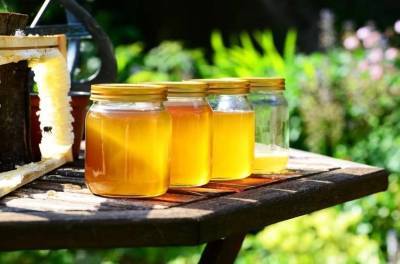 Готовим организм к холодам: 5 продуктов для укрепления иммунитета летом - skuke.net