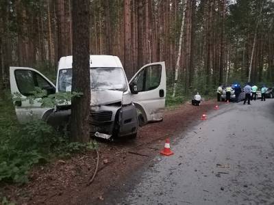 В Первоуральске водитель вез пятилетнюю дочь на коленях и врезался в дерево. Ребенок погиб - znak.com - Первоуральск