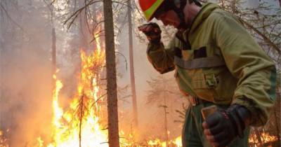 В Якутии вызовут искусственные дожди для тушения лесного пожара - ren.tv - респ. Саха - район Горный