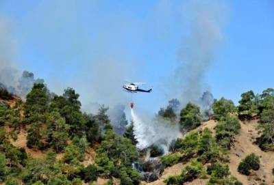 Лесной пожар на Кипре, бушующий второй день подряд, унес жизни четырех человек - unn.com.ua - Украина - Киев - Египет - Кипр - Лимассол