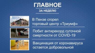Портал PenzaInform.ru подготовил дайджест главных новостей недели - penzainform.ru - Пензенская обл.