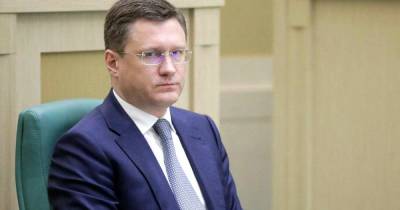 Владимир Путин - Александр Новак - Новак: газ могут бесплатно подвести к 3-4 млн домовладений - ren.tv - Россия
