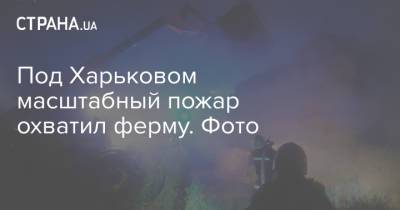 Под Харьковом масштабный пожар охватил ферму. Фото - strana.ua - Украина - Белоруссия - Харьковская обл. - Харьков