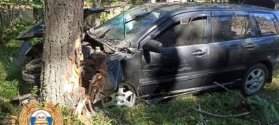 В Карелии иномарка врезалась в дерево, вылетев с трассы после ДТП с «Ладой» - stolicaonego.ru - Петрозаводск - республика Карелия