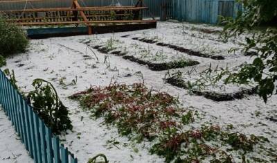 В Башкирии из-за града пострадали огороды местных жителей - mkset.ru - Башкирия - район Салаватский