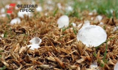 Копейские спасатели эвакуировали отдыхающих с пляжа из-за крупного града - fedpress.ru - Россия - Челябинская обл. - Копейск
