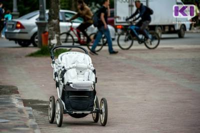 Мошенники выманили деньги у жителей Коми под предлогом продажи детских колясок - komiinform.ru - респ. Коми - Сыктывкар - Усинск