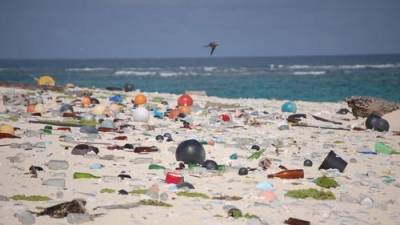Пластиковый мусор заносят течения на необитаемый остров в Тихом океане - argumenti.ru - Новая Зеландия - Экология
