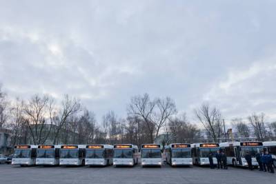 В Петербурге появятся почти три тысячи новых автобусов - spb.mk.ru - Санкт-Петербург