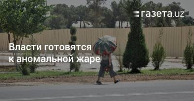 Власти готовятся к аномальной жаре - gazeta.uz - Узбекистан - Ташкент