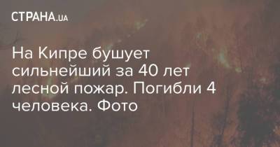 На Кипре бушует сильнейший за 40 лет лесной пожар. Погибли 4 человека. Фото - strana.ua - Украина - Египет - Кипр - Греция