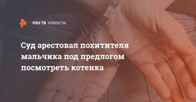 Суд арестовал похитителя мальчика под предлогом посмотреть котенка - ren.tv - Россия - Нижний Новгород - Нижний Новгород