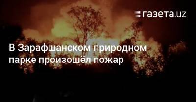 В Зарафшанском природном парке произошёл пожар - gazeta.uz - Узбекистан