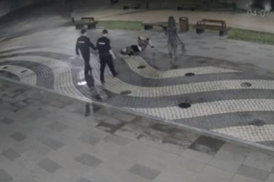 Вандала из великолукского парка поймала полиция - mk-pskov.ru