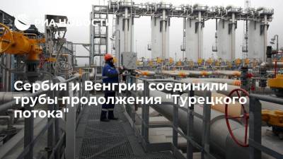 Сербский участок продолжения "Турецкого потока" состыковали с газотранспортной системой Венгрии - smartmoney.one - Россия - Украина - Турция - Венгрия - Болгария - Сербия