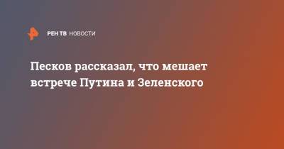 Владимир Зеленский - Владимир Путин - Дмитрий Песков - Песков рассказал, что мешает встрече Путина и Зеленского - ren.tv - Россия - Украина