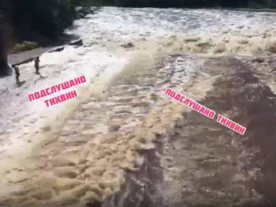 В Ленобласти двое утонули двое мужчин, решивших искупаться возле водозабора - bloknot.ru - Ленинградская обл.