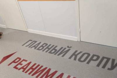 Свыше 480 человек, заразившихся ковидом, лежат в больницах, а 1693 – лечатся дома - ufa.mk.ru - Башкирия