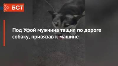 Под Уфой мужчина тащил по дороге собаку, привязав к машине - bash.news - Уфа