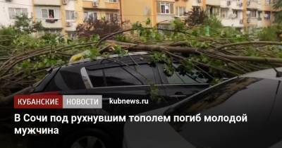 В Сочи под рухнувшим тополем погиб молодой мужчина - kubnews.ru - Сочи