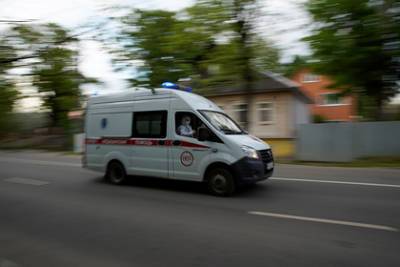 В Сочи один человек погиб и два пострадали из-за падения деревьев во время ливня - lenta.ru - Сочи - Московская обл. - р-н Раменский