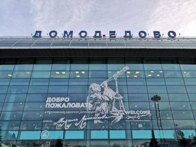 Сбой произошел в парковочной системе аэропорта Домодедово - vm.ru