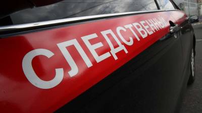 СК начал проверку сведений об избиении ребенка в детсаду на Ставрополье - iz.ru - Россия - Израиль - Ставрополье