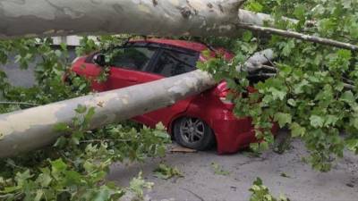 В столице Абхазии устраняют последствия мощного урагана — видео - 5-tv.ru - Апсны - Сухум