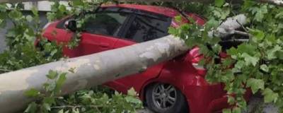 Разрушительный ураган пронёсся по Абхазии - runews24.ru - Апсны - Сухум