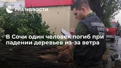 В Сочи один человек погиб, двое пострадали при падении деревьев из-за ветра - ria.ru - Москва - Россия - Сочи