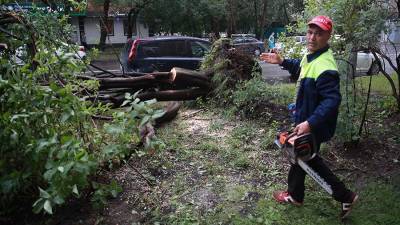 Роман Вильфанд - Вильфанд предупредил об опасной погоде в ряде регионов России - iz.ru - Россия - Крым - Санкт-Петербург - Израиль - Ростовская обл. - округ Южный - окр. Скфо - республика Карелия