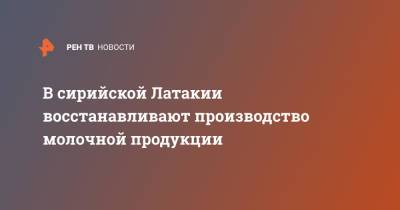 В сирийской Латакии восстанавливают производство молочной продукции - ren.tv - Сирия