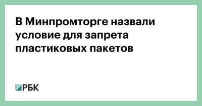 Дмитрий Медведев - Виктория Абрамченко - В Минпромторге назвали условие для запрета пластиковых пакетов - smartmoney.one - Россия