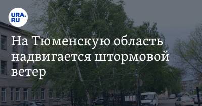 На Тюменскую область надвигается штормовой ветер - ura.news - Тюмень - Тюменская обл.