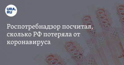Роспотребнадзор посчитал, сколько РФ потеряла от коронавируса - ura.news - Россия