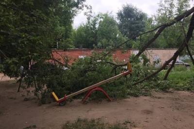 В Иванове дерево упало на одну из игровых площадок - чудом не пострадали дети - mkivanovo.ru - Ивановская обл.