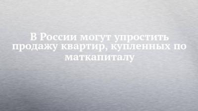 Михаил Мишустин - В России могут упростить продажу квартир, купленных по маткапиталу - chelny-izvest.ru - Россия