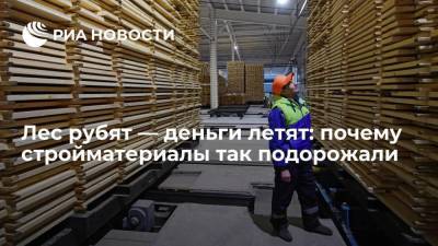 Лес рубят — деньги летят: почему стройматериалы так подорожали - smartmoney.one - Россия - Китай - США - Канада