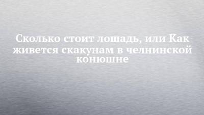 Сколько стоит лошадь, или Как живется скакунам в челнинской конюшне - chelny-izvest.ru - Москва - США - Набережные Челны - Казань