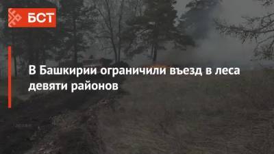 В Башкирии ограничили въезд в леса девяти районов - bash.news - Башкирия - район Учалинский